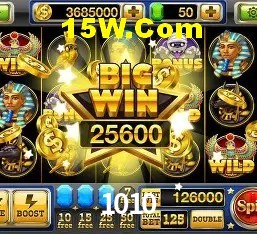 Experiência VIP 1010